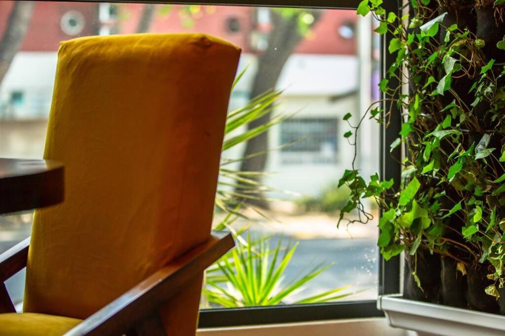 Departamento Loft - Roma Norte Cdmx * Mexico City